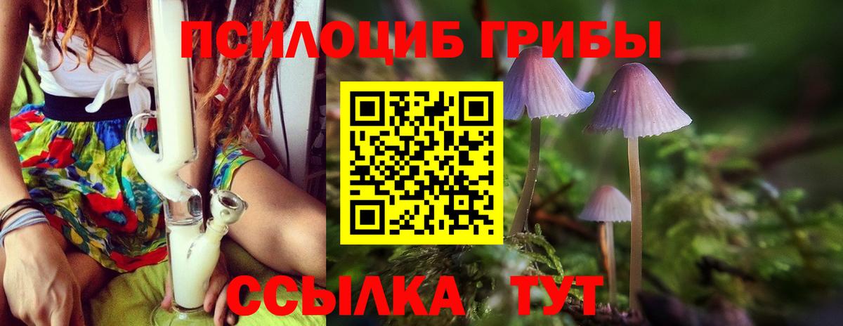 Псилоцибиновые грибы мицелий Саров