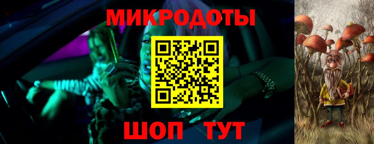 Саров  Псилоцибиновые грибы Cubensis  Вход с VPN 